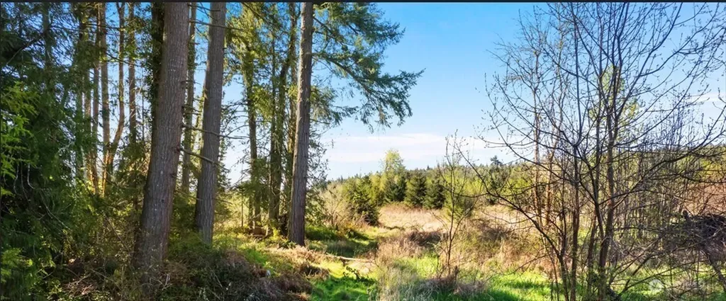 0 40 Acres 185th Avenue SE Tenino WA 98589