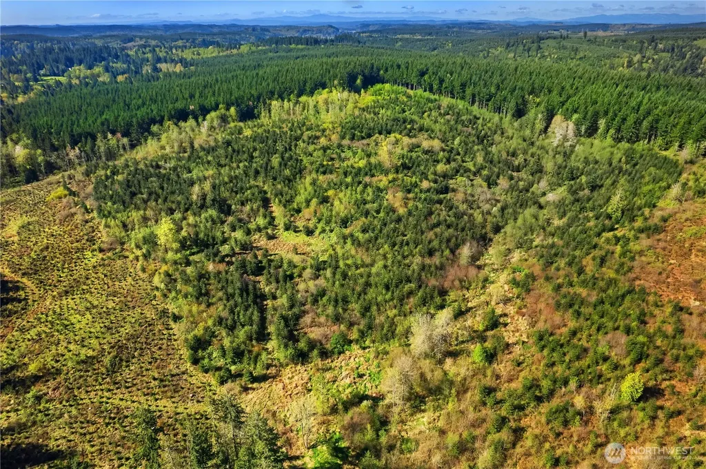 0 40 Acres 185th Avenue SE Tenino WA 98589