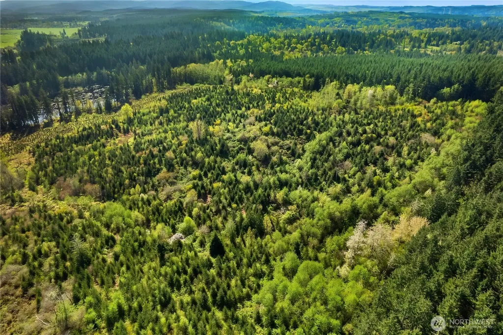 0 40 Acres 185th Avenue SE Tenino WA 98589