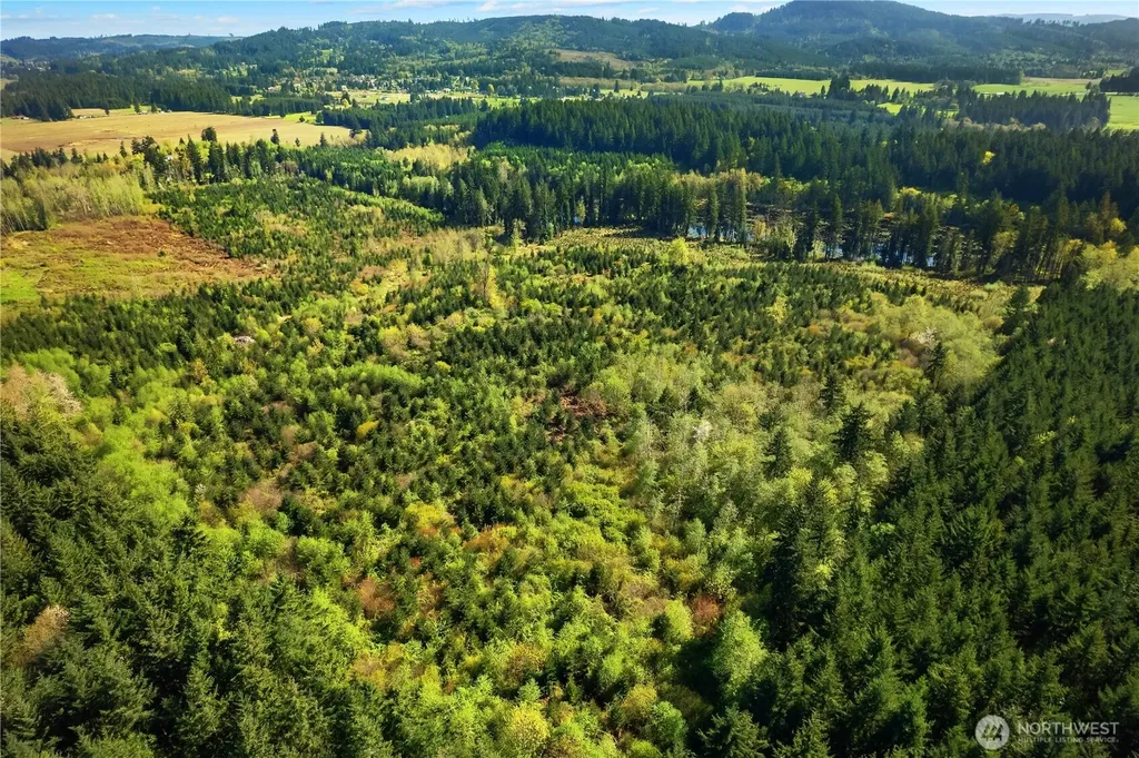 0 40 Acres 185th Avenue SE Tenino WA 98589