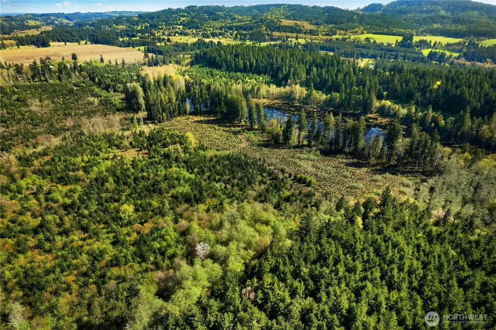0 40 Acres 185th Avenue SE Tenino WA 98589