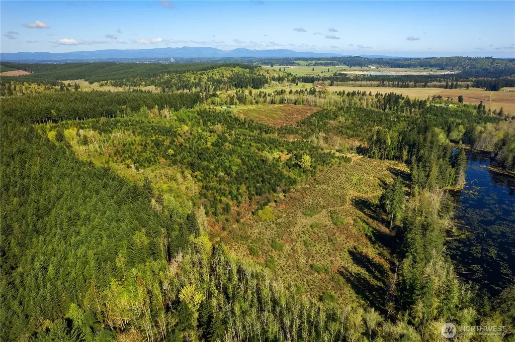 0 40 Acres 185th Avenue SE Tenino WA 98589
