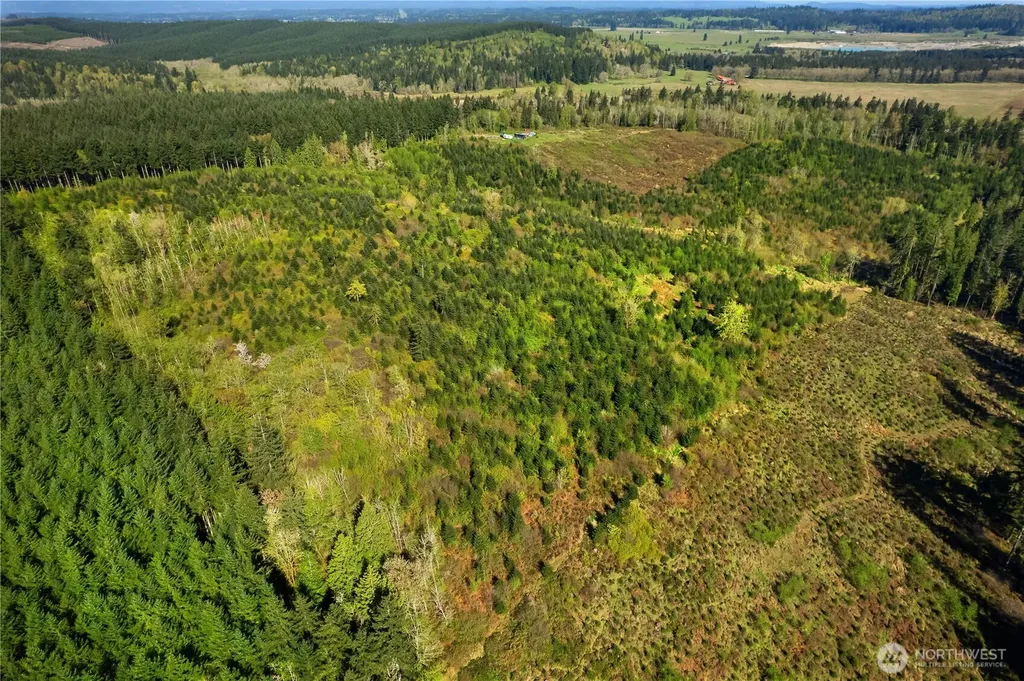 0 40 Acres 185th Avenue SE Tenino WA 98589