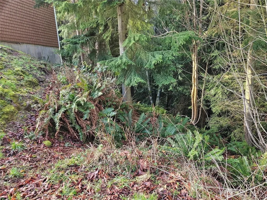 9999 E 5th St Lots 9-12 Blk 186 Port Angeles WA 98362