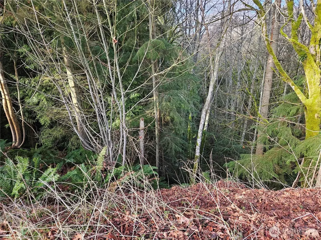 9999 E 5th St Lots 9-12 Blk 186 Port Angeles WA 98362