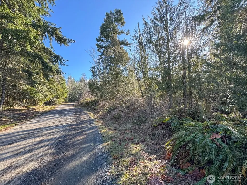 0 E Angeles Ridge Road Port Angeles WA 98362