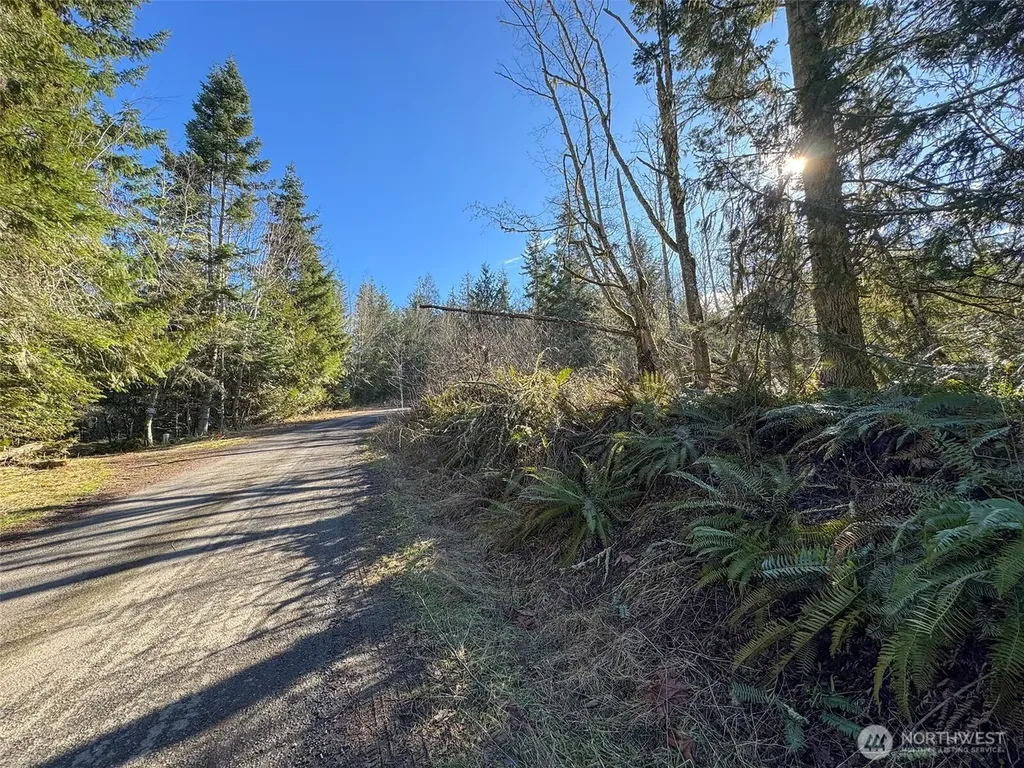 0 E Angeles Ridge Road Port Angeles WA 98362