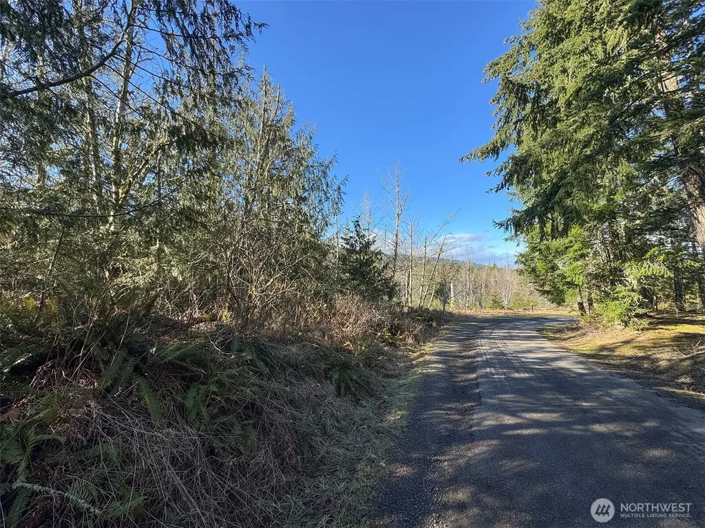 0 E Angeles Ridge Road Port Angeles WA 98362