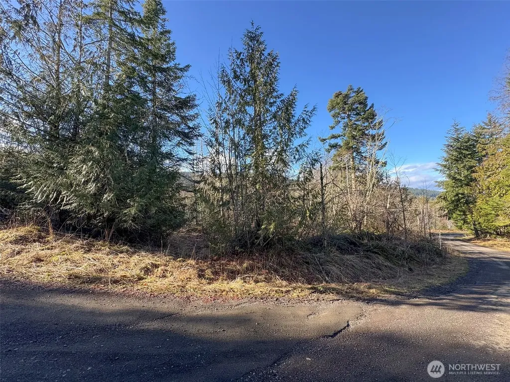 0 E Angeles Ridge Road Port Angeles WA 98362