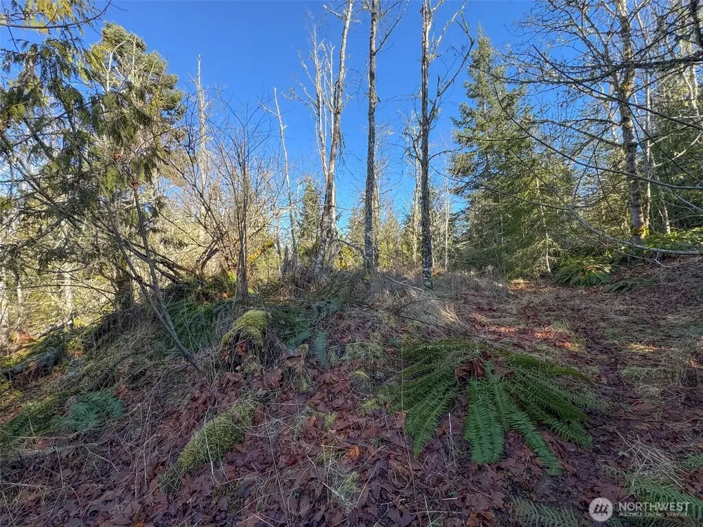 0 E Angeles Ridge Road Port Angeles WA 98362