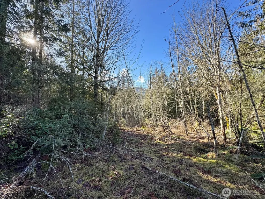 0 E Angeles Ridge Road Port Angeles WA 98362