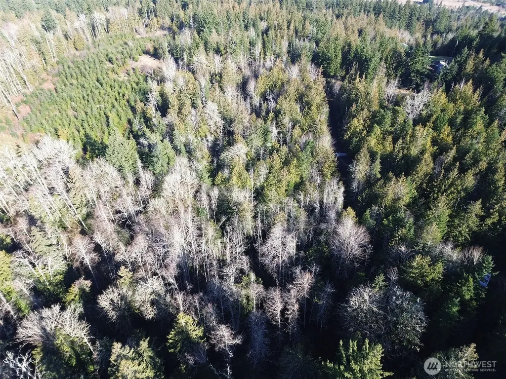0 E Angeles Ridge Road Port Angeles WA 98362
