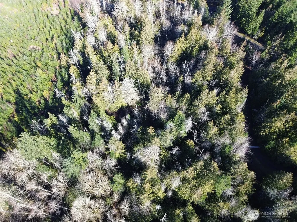 0 E Angeles Ridge Road Port Angeles WA 98362