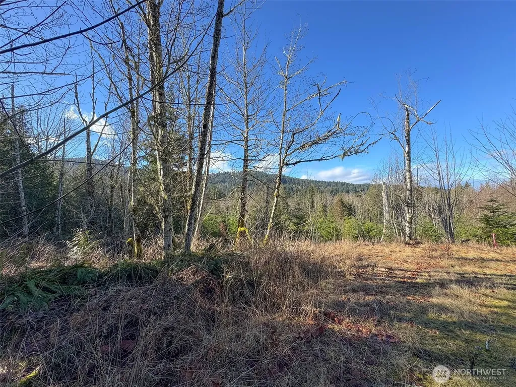 0 E Angeles Ridge Road Port Angeles WA 98362