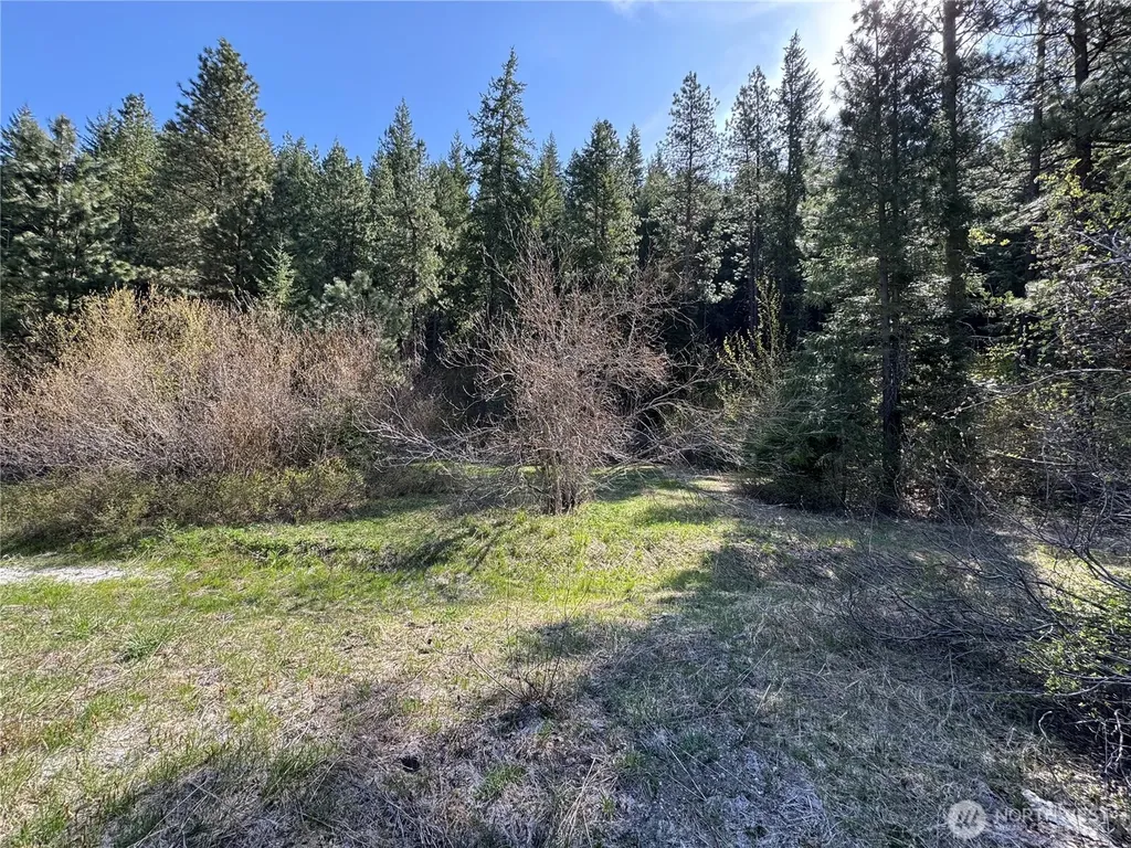 0 Us 2 Lake Wenatchee WA 98826