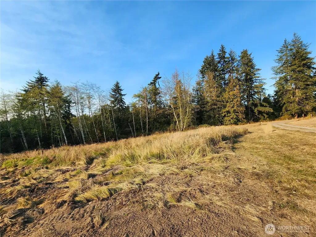 9999 Bravo, Lot 2 Road Port Angeles WA 98362