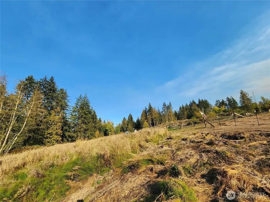 9999 Bravo, Lot 2 Road Port Angeles WA 98362