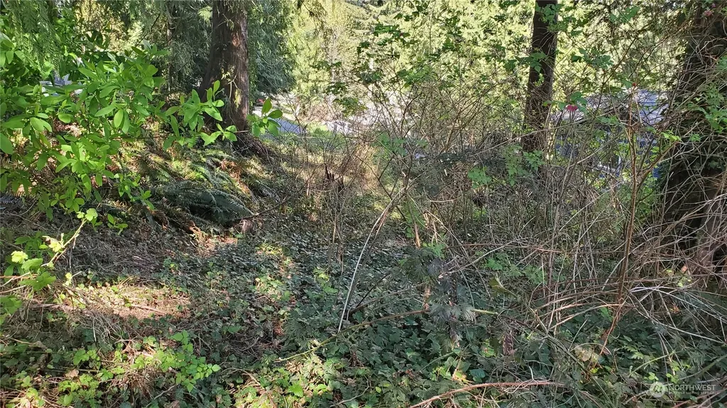 750 West Road Sedro Woolley WA 98284