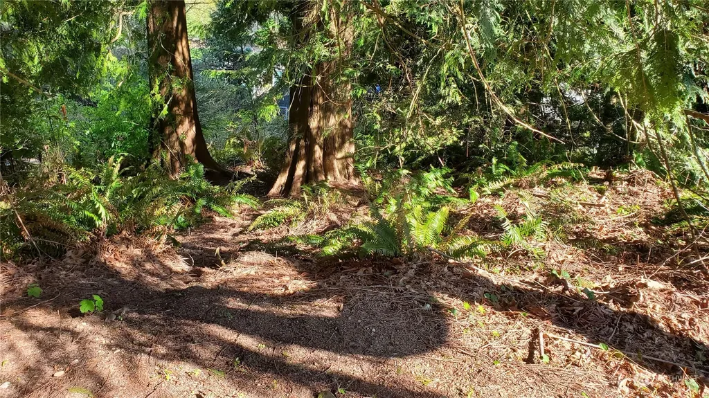 750 West Road Sedro Woolley WA 98284