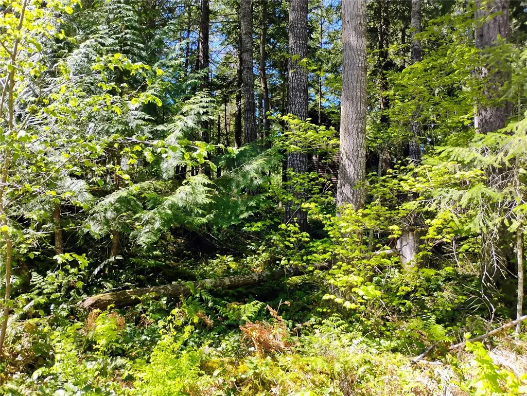 78 Fir Park Lane Packwood WA 98361