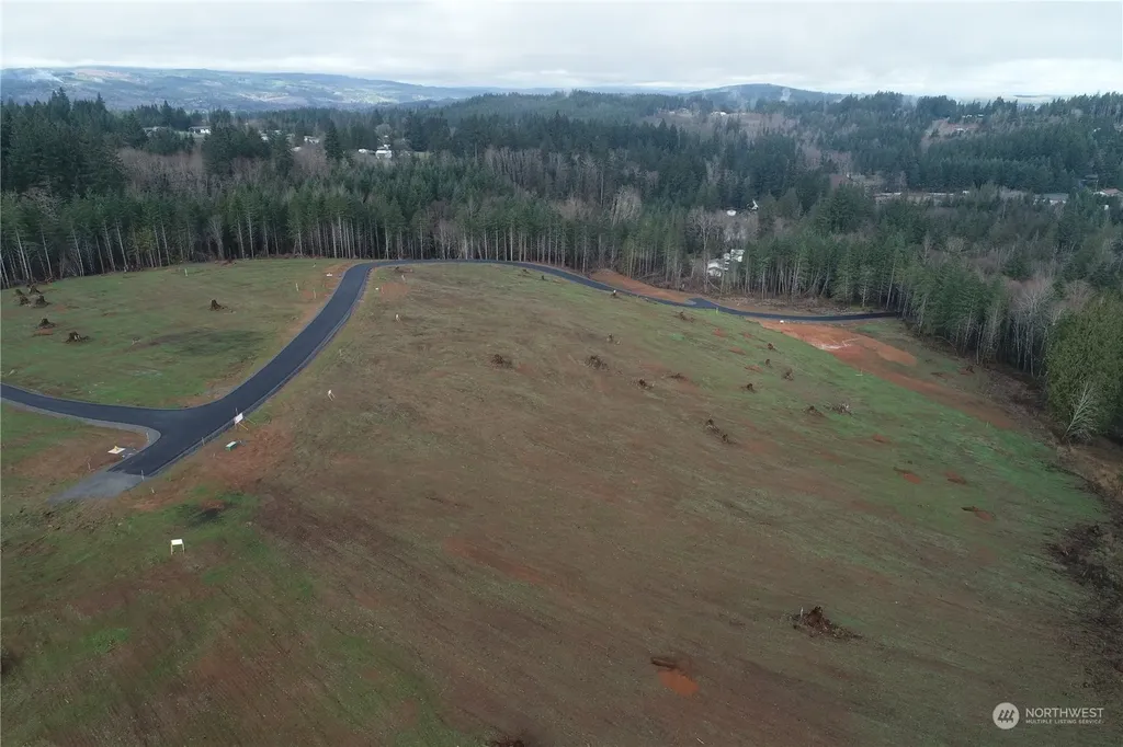 201 Ash Mountain Drive Castle Rock WA 98611