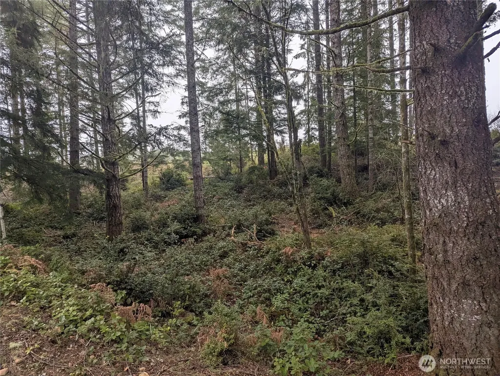 161 E Hemlock Lane Union WA 98592