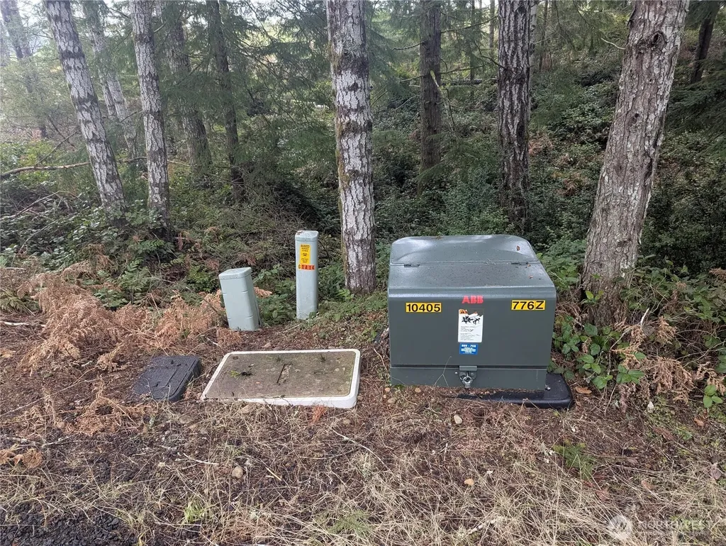 161 E Hemlock Lane Union WA 98592