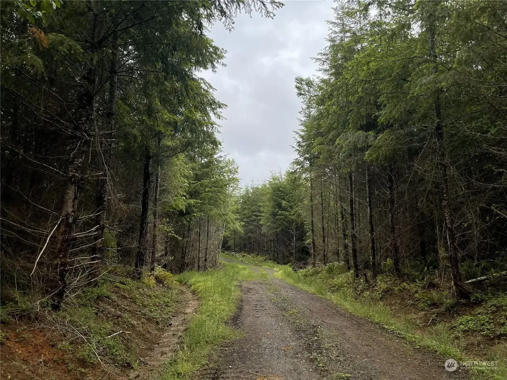 3 Centralia Alpha Road Onalaska WA 98570