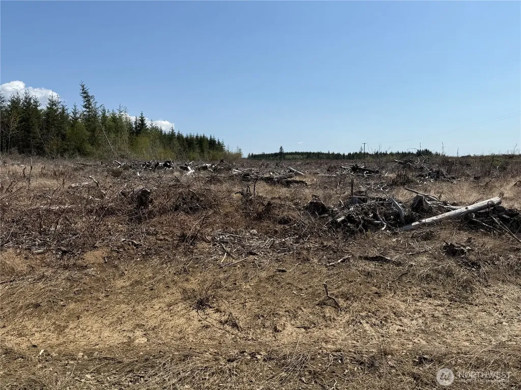 3 Centralia Alpha Road Onalaska WA 98570