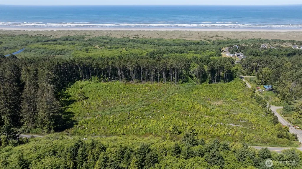 2 Dolphin Lane Copalis Beach WA 98535
