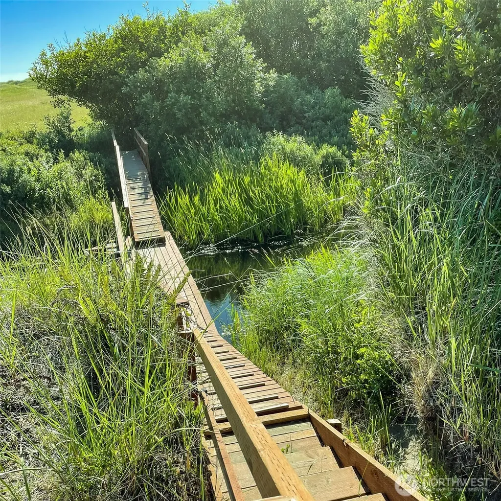 2 Dolphin Lane Copalis Beach WA 98535