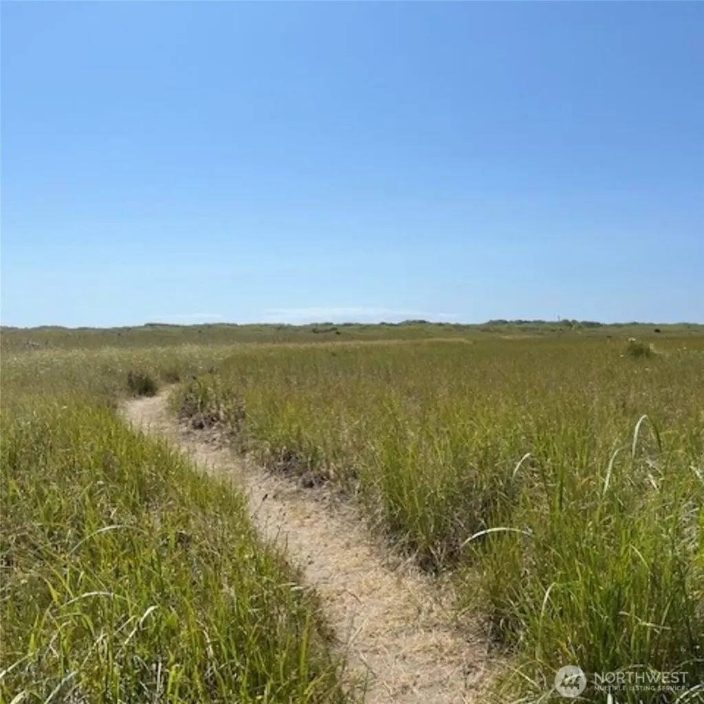 2 Dolphin Lane Copalis Beach WA 98535
