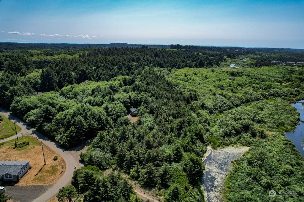 2 Dolphin Lane Copalis Beach WA 98535
