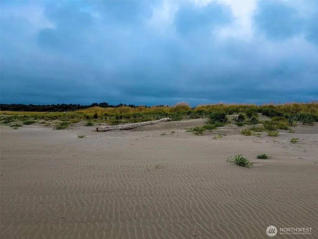 2 Dolphin Lane Copalis Beach WA 98535