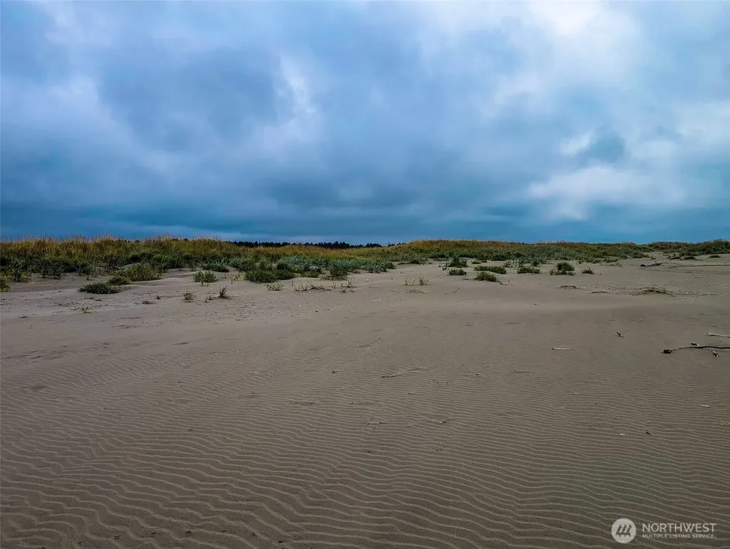 2 Dolphin Lane Copalis Beach WA 98535