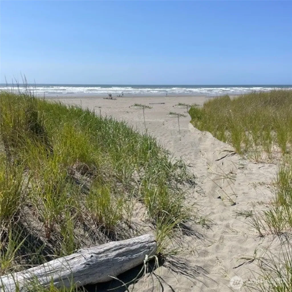 2 Dolphin Lane Copalis Beach WA 98535