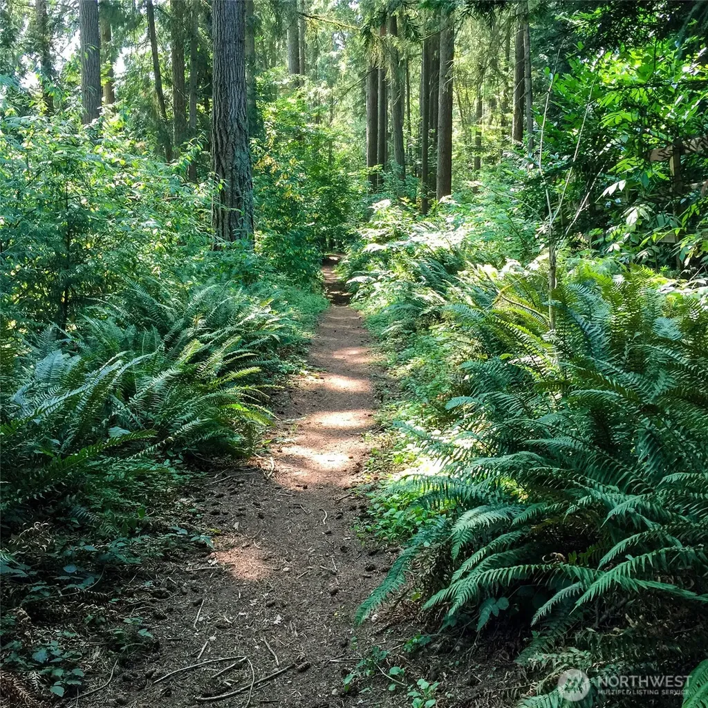 2 Dolphin Lane Copalis Beach WA 98535