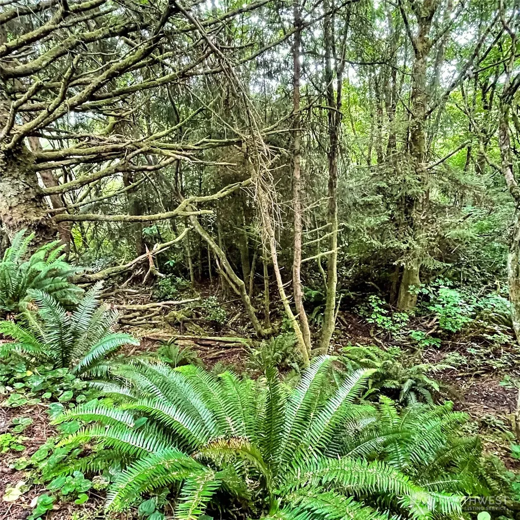 2 Dolphin Lane Copalis Beach WA 98535