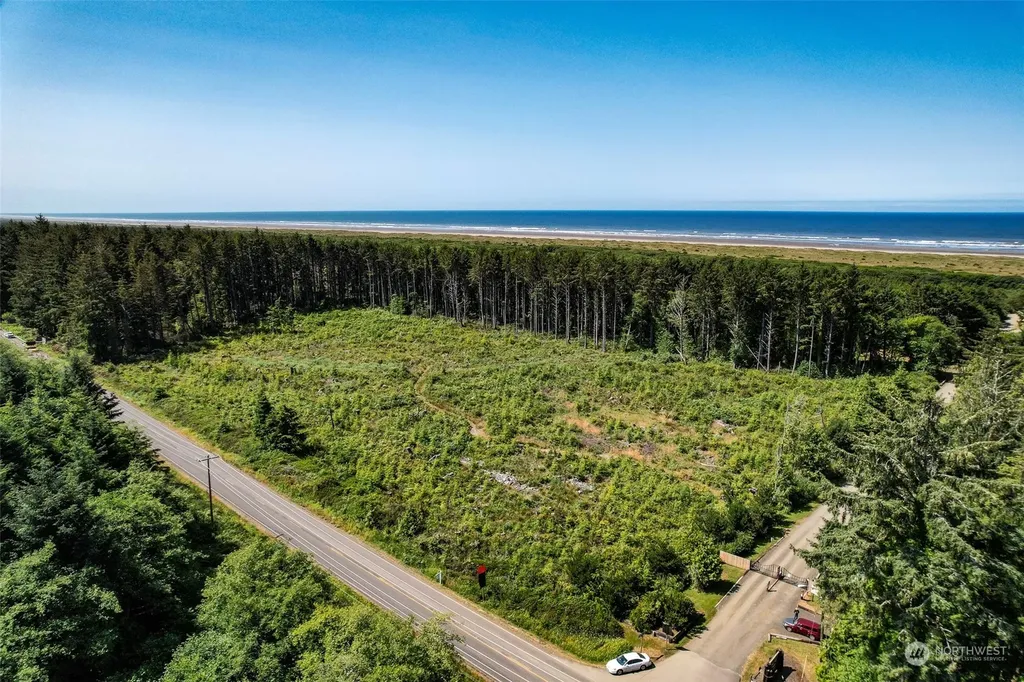 2 Dolphin Lane Copalis Beach WA 98535