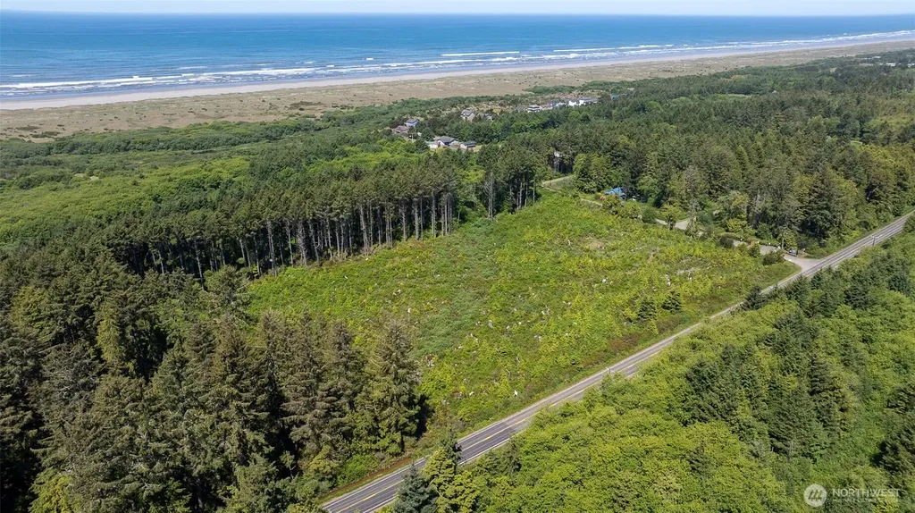 2 Dolphin Lane Copalis Beach WA 98535