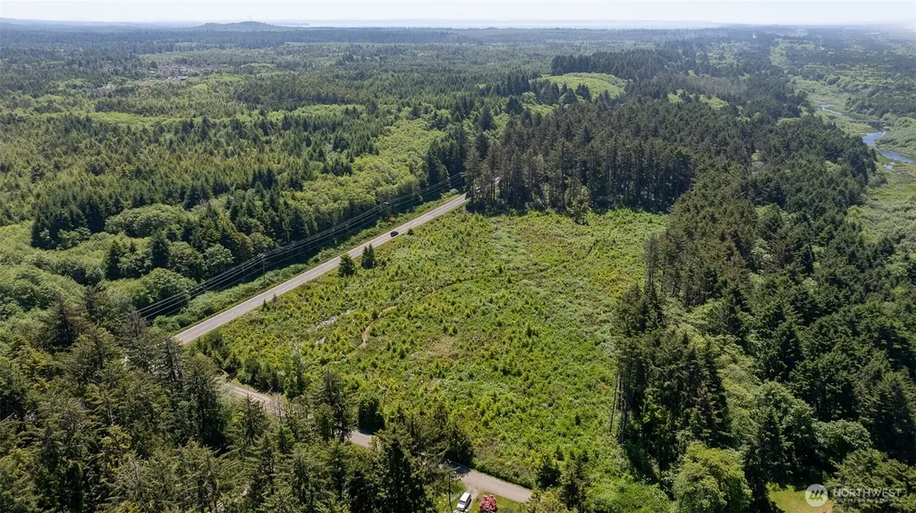 2 Dolphin Lane Copalis Beach WA 98535