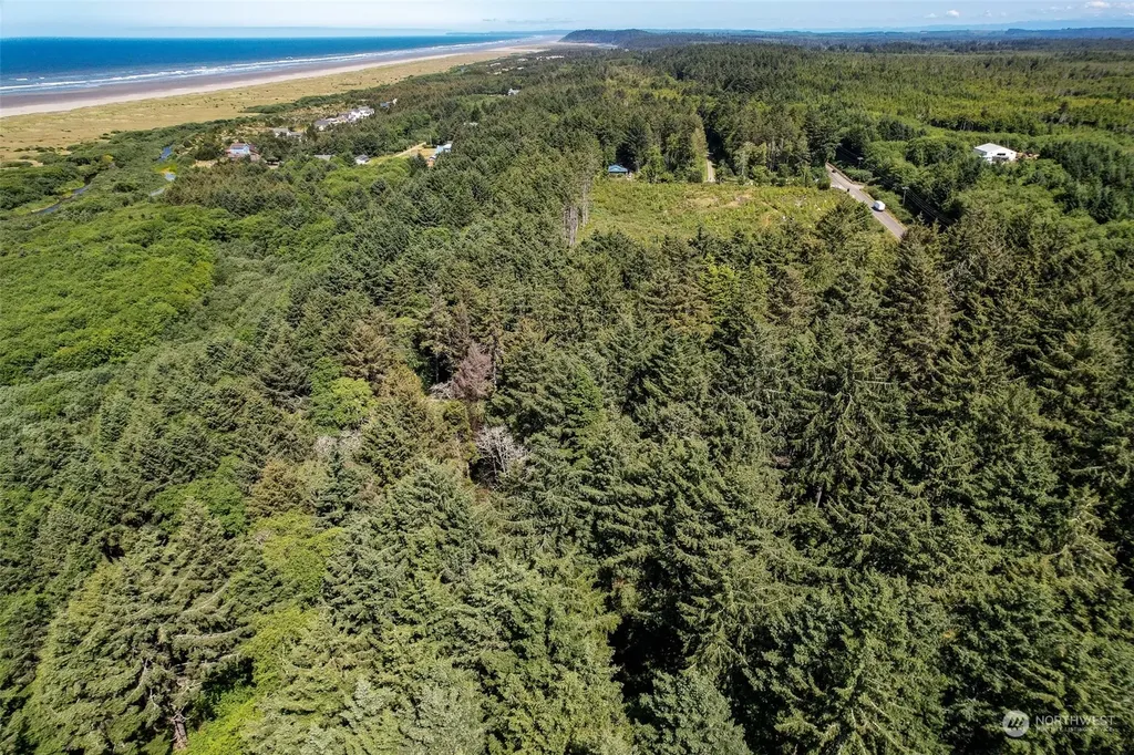 2 Dolphin Lane Copalis Beach WA 98535