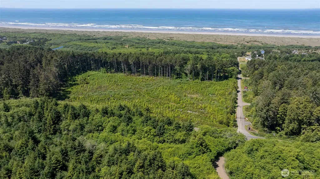 2 Dolphin Lane Copalis Beach WA 98535