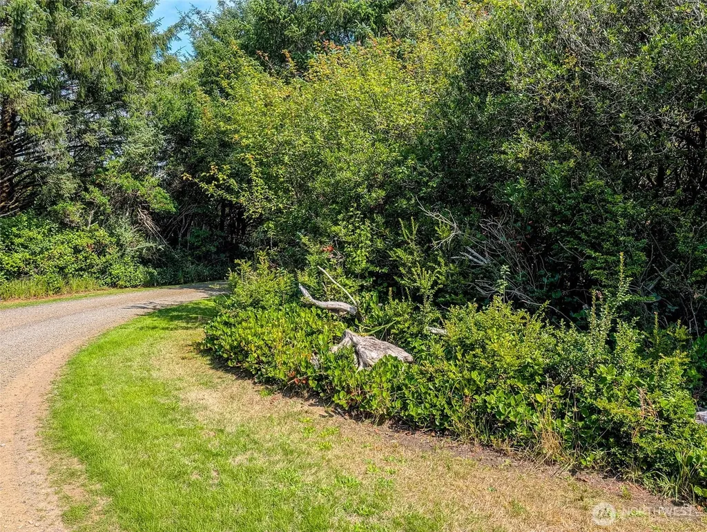 2 Dolphin Lane Copalis Beach WA 98535