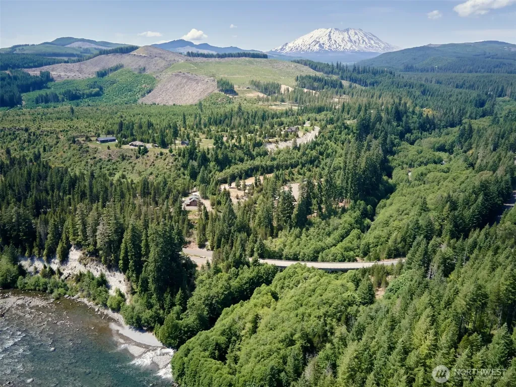 192 Sasquatch Way Cougar WA 98616
