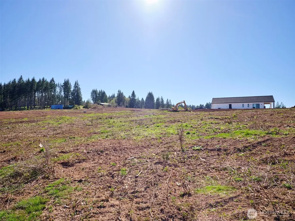 324 Dolan Road Castle Rock WA 98611