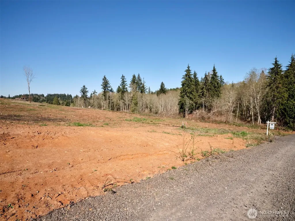312 Dolan Road Castle Rock WA 98611
