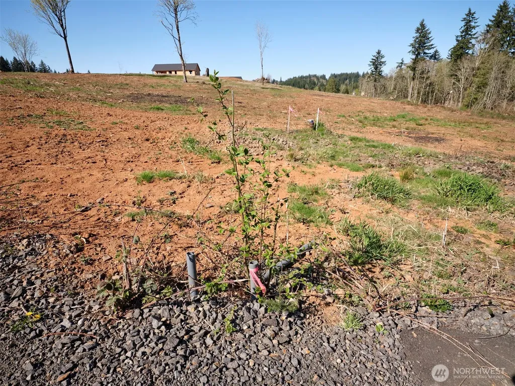 312 Dolan Road Castle Rock WA 98611