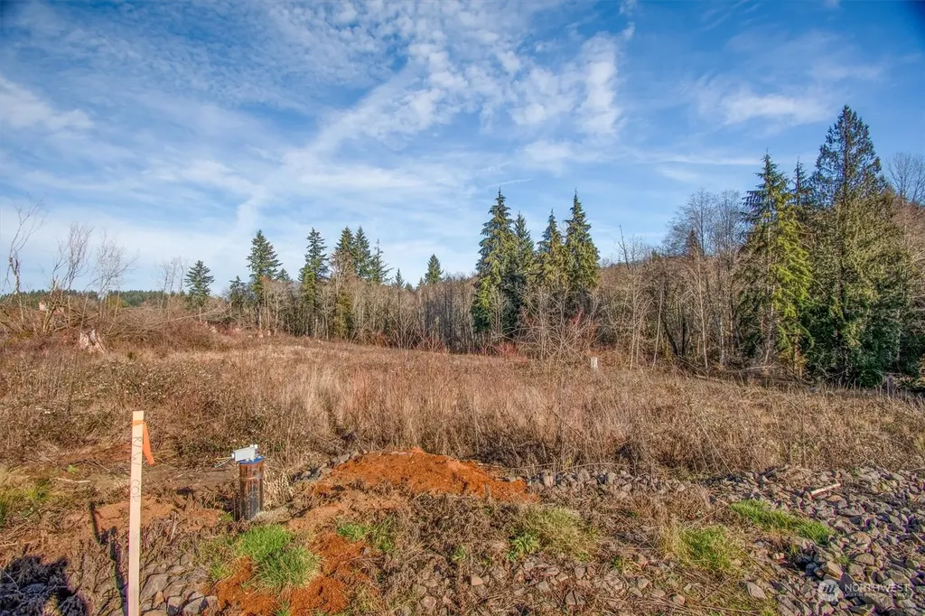 312 Dolan Road Castle Rock WA 98611