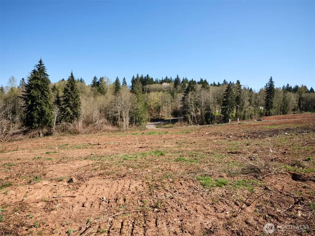 312 Dolan Road Castle Rock WA 98611